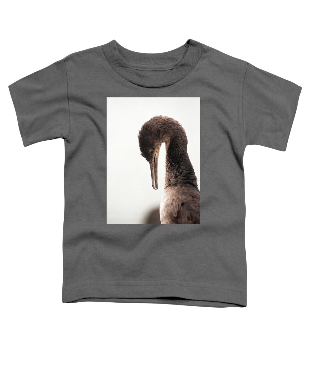 Fine Art America Toddler T-Shirt featuring the photograph Well Groomed by Andrew Hewett