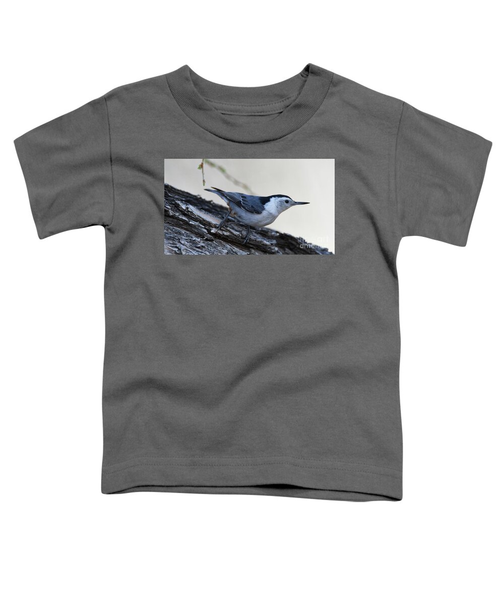 Bird Toddler T-Shirt featuring the photograph White-breasted Nuthatch by Robert WK Clark