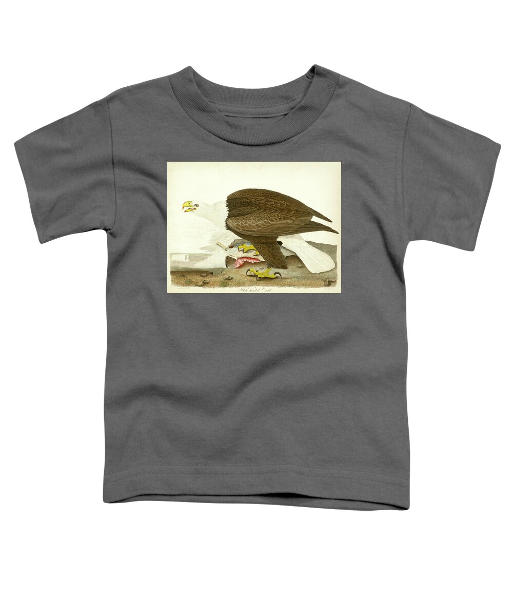 Eagle Toddler T-Shirt featuring the mixed media White-headed Eagle by Alexander Wilson