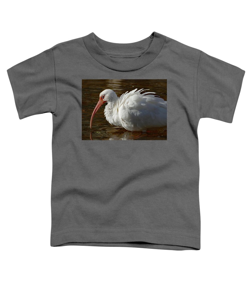 Birds Toddler T-Shirt featuring the photograph White Ibis with Ruffled Feathers by Margaret Zabor