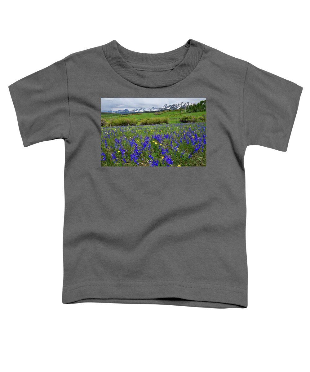 Ouray Toddler T-Shirt featuring the photograph Wildflowers along Last Dollar Road by Ray Mathis