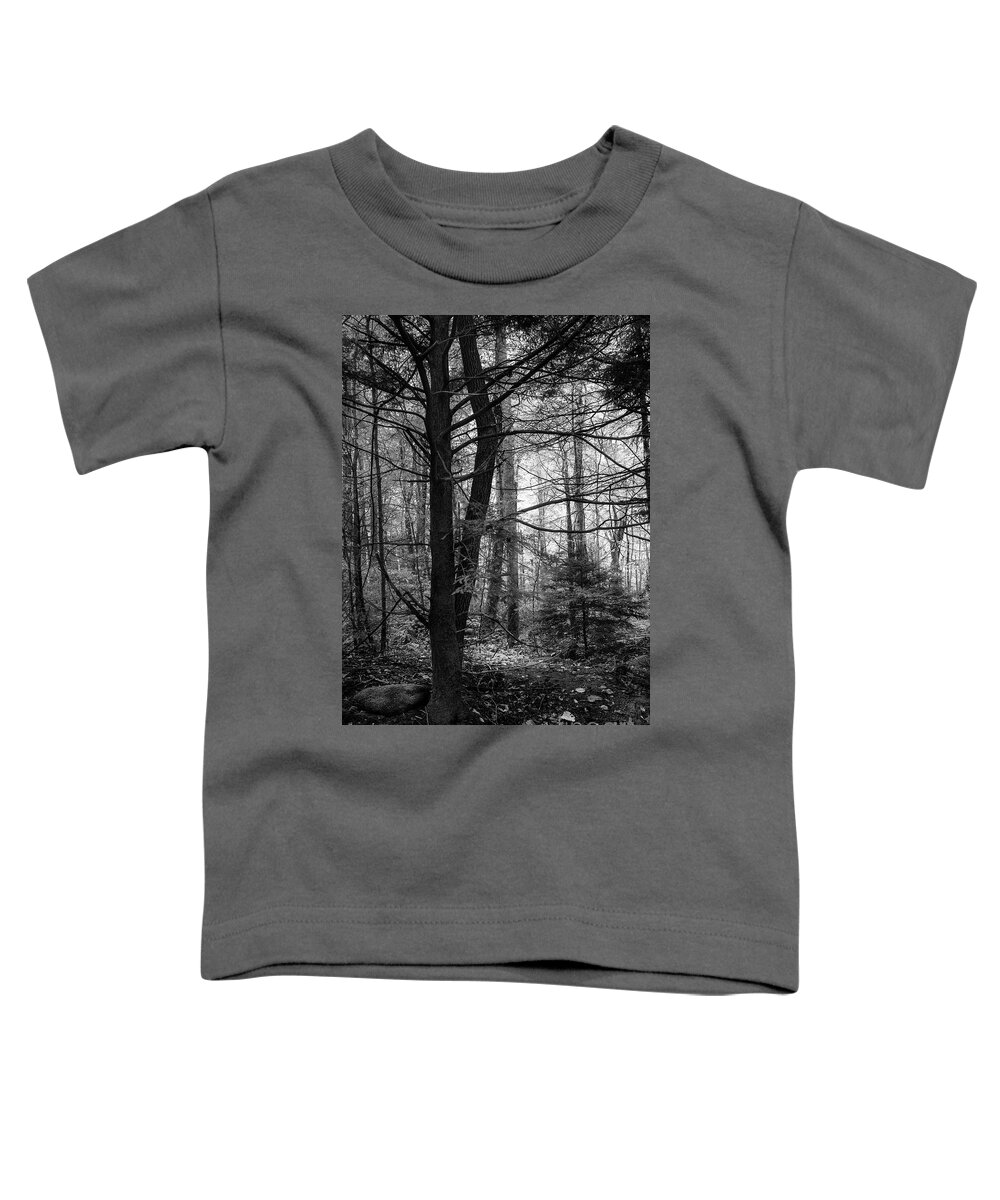 Forest Toddler T-Shirt featuring the photograph Woodland Scene by Mike Eingle