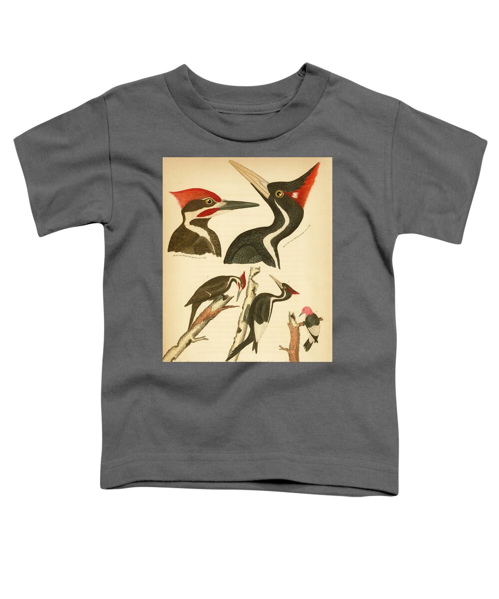 Birds Toddler T-Shirt featuring the mixed media Woodpeckers by Alexander Wilson