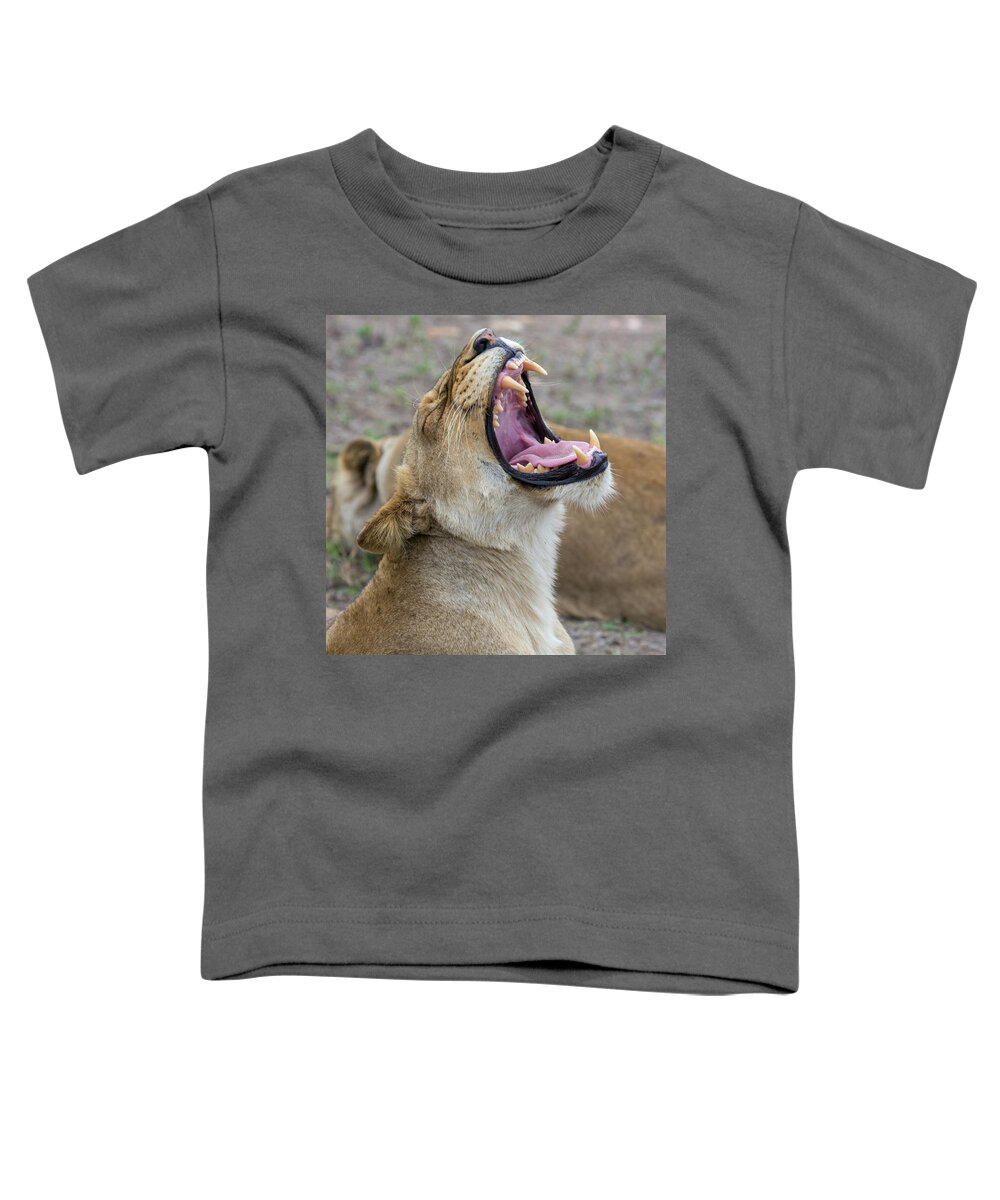 Lion Toddler T-Shirt featuring the photograph Yawning Lioness by Mark Hunter