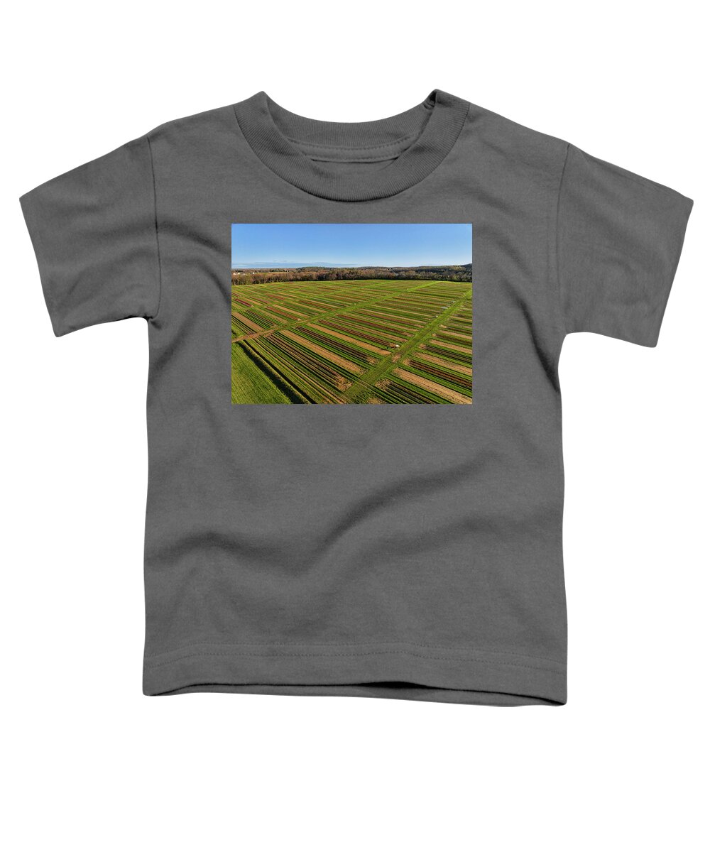 Tulip Toddler T-Shirt featuring the photograph Aerial Tulip Farm #5 by Susan Candelario