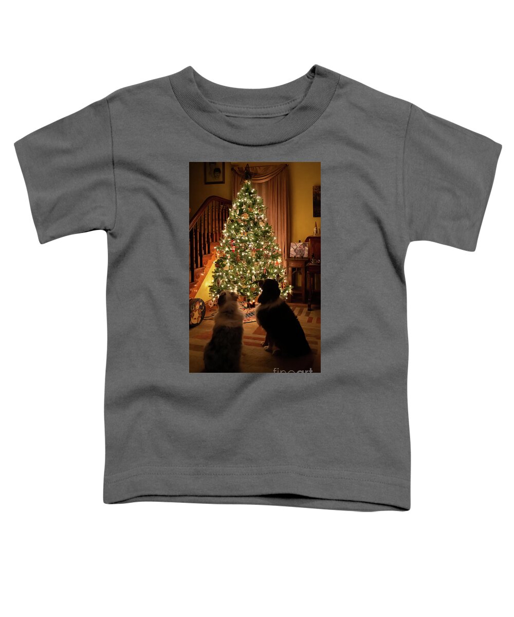 Australian Shepherd Toddler T-Shirt featuring the photograph Aussie Christmas #1 by Cathy Donohoue