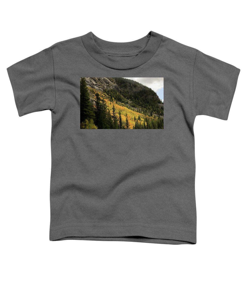 Autumn Colors In The Canadian Rockies Toddler T-Shirt featuring the photograph Autumn Colors In The Canadian Rockies #1 by Dan Sproul