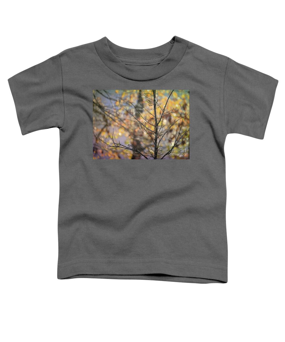 Autumn Light Toddler T-Shirt featuring the photograph Autumn Light #2 by Kerri Farley