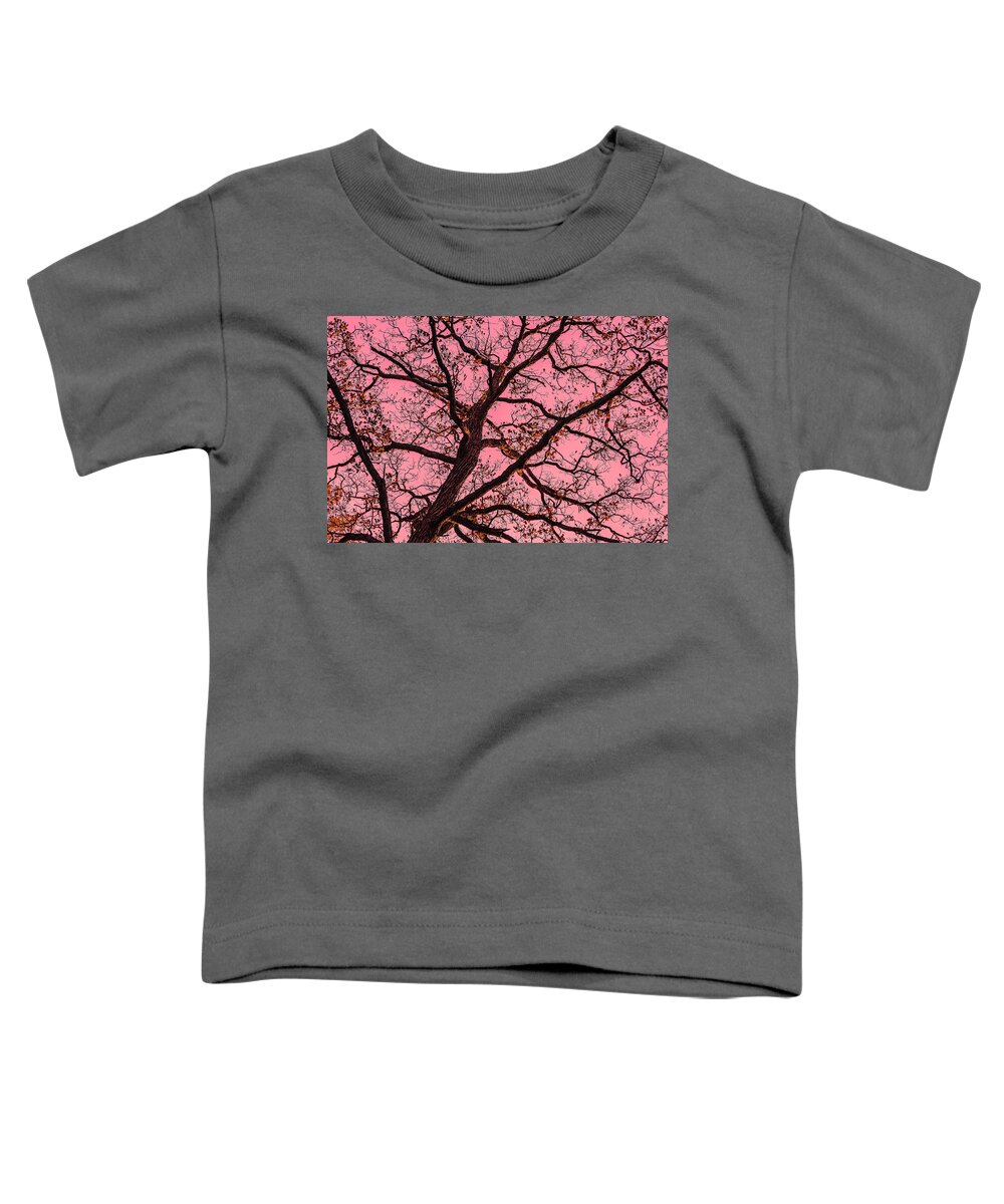 Bare Tree Zion Illinois Red Yellow Branches Toddler T-Shirt featuring the photograph Bare Tree in Zion, Illinois #1 by David Morehead