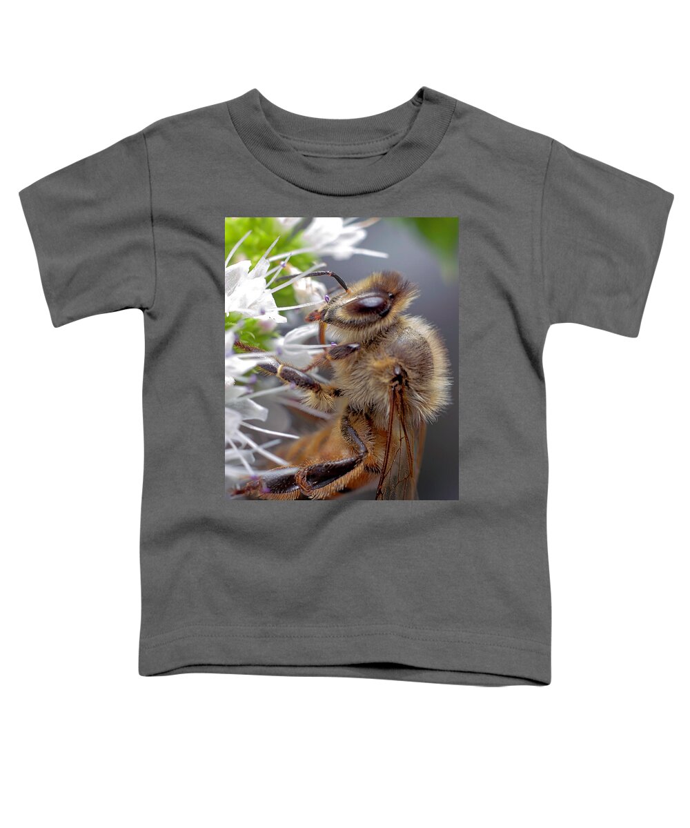 Bee Toddler T-Shirt featuring the photograph Bee 1 #1 by Endre Balogh