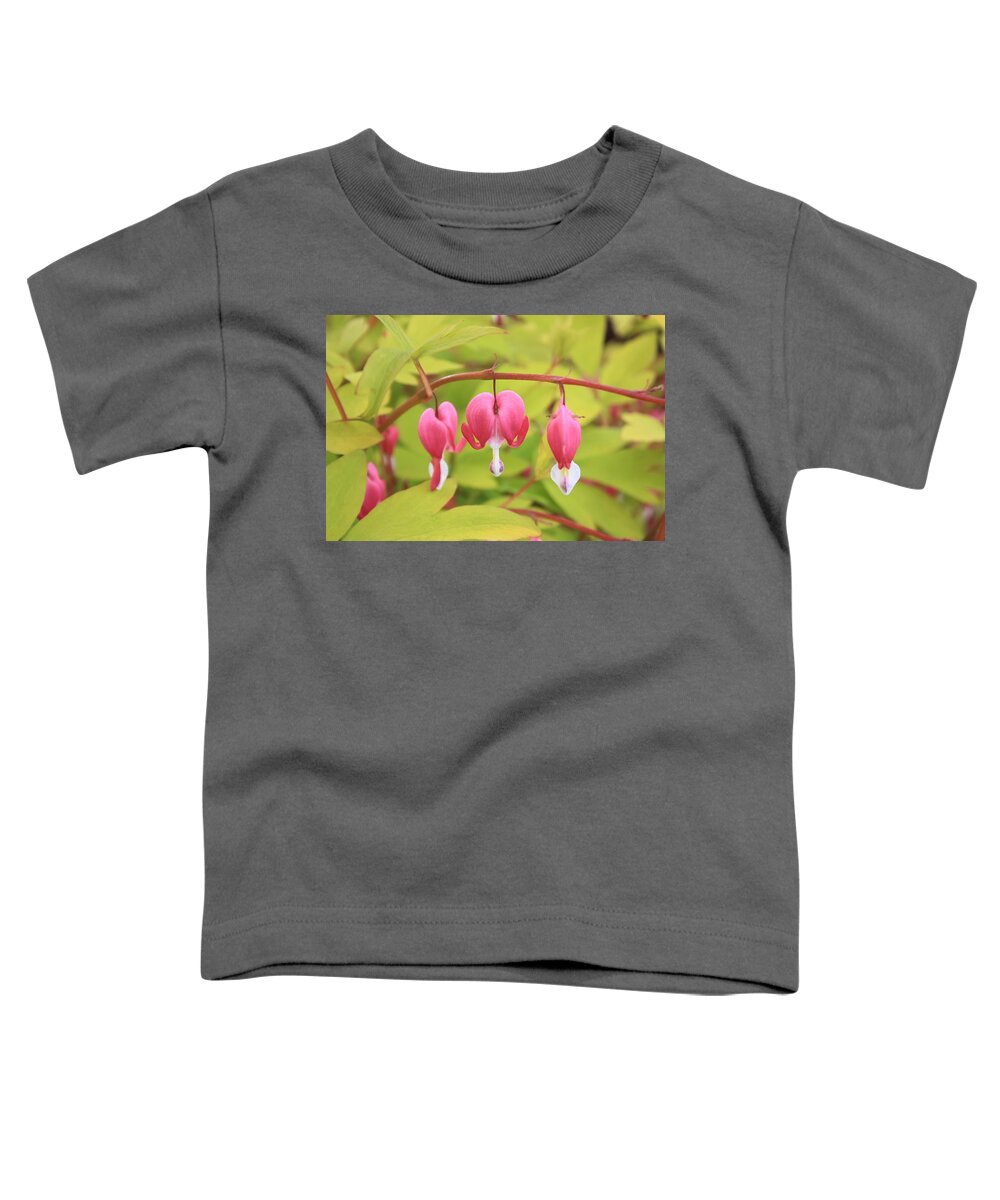 Flower Toddler T-Shirt featuring the photograph Bleeding-Heart #1 by Gerry Bates