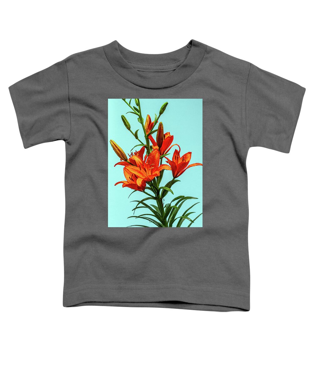 Garden Toddler T-Shirt featuring the photograph Bohemian Lilies #1 by John Haldane