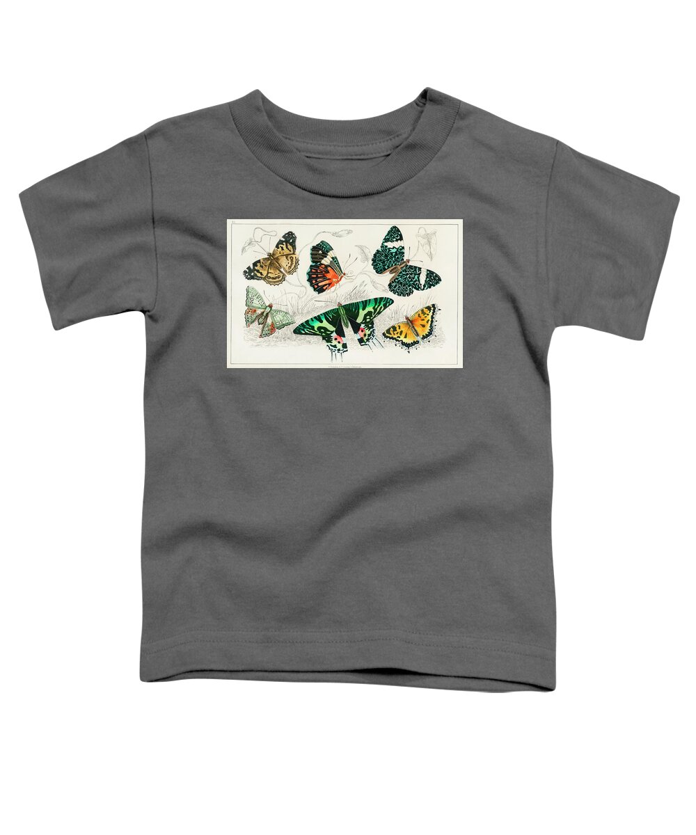 Vintage Print Toddler T-Shirt featuring the painting Collection of Various Butterflies #1 by World Art Collective