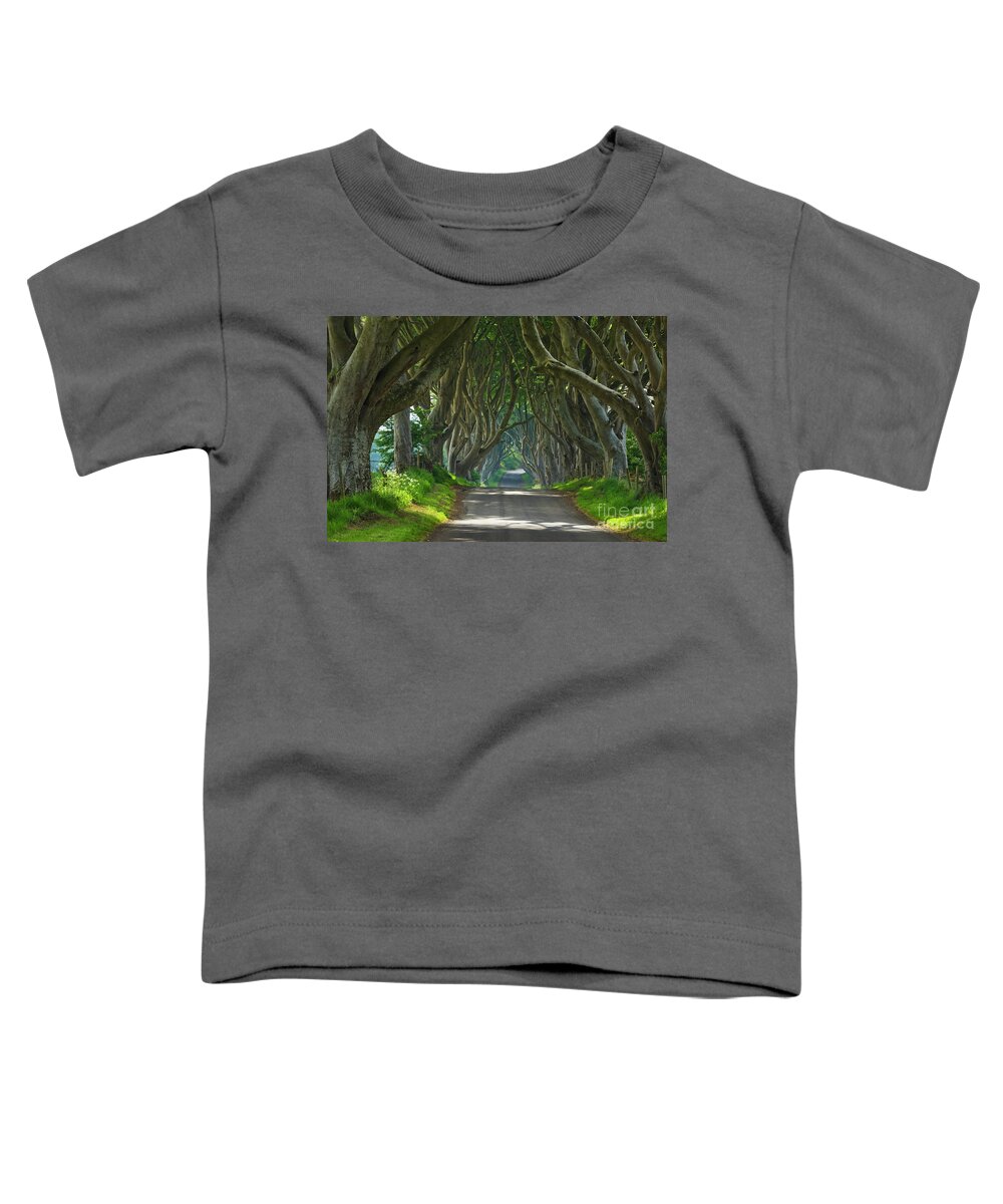 Dark Hedges Toddler T-Shirt featuring the photograph Dark Hedges, County Antrim, Northern Ireland #2 by Neale And Judith Clark