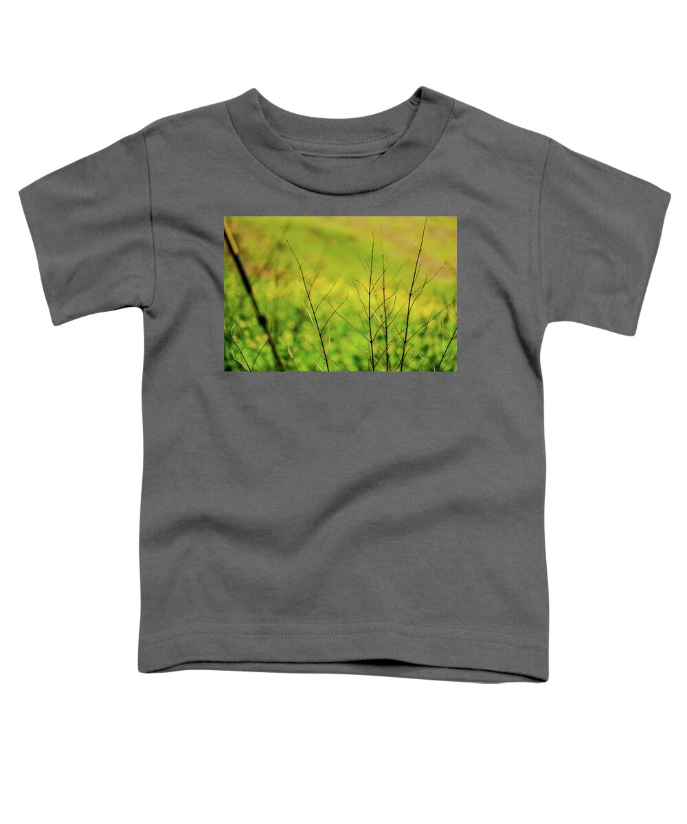 Flower Toddler T-Shirt featuring the photograph Dried Twigs From Plant In Front Of Field Of Buttercups #1 by David Ridley