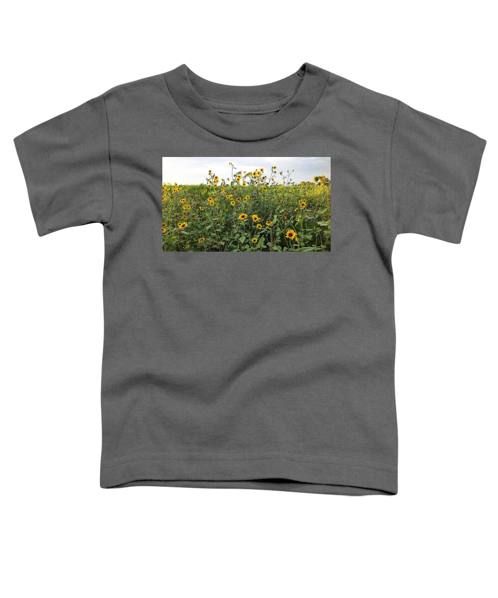 Photograph Flowers Sunflowers Toddler T-Shirt featuring the photograph Field of Sunflowers #1 by Beverly Read
