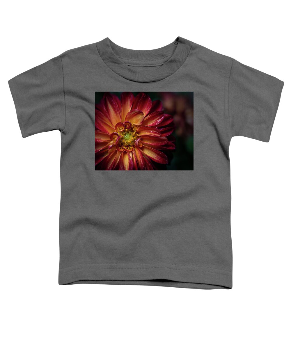 Flower Toddler T-Shirt featuring the photograph Fire Dahlia High End Photo Art #1 by Lily Malor