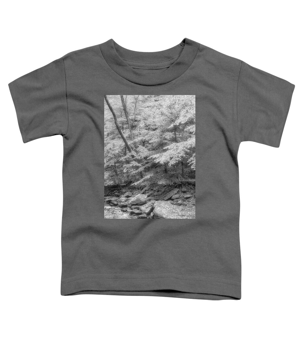 Water Toddler T-Shirt featuring the photograph Hedden County Park NJ BW #1 by Susan Candelario