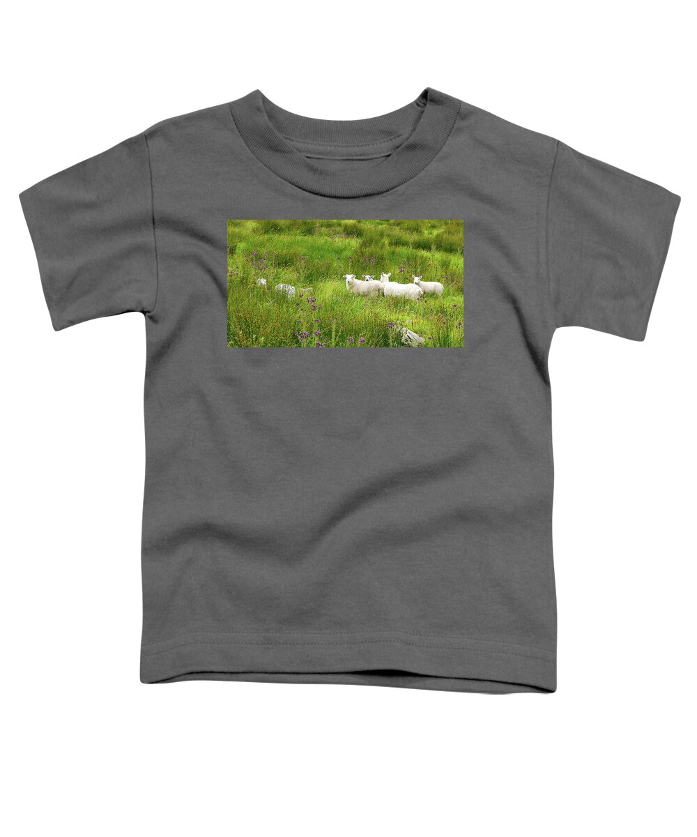 Sheep Toddler T-Shirt featuring the photograph Hiding in the Grass #1 by Lexa Harpell