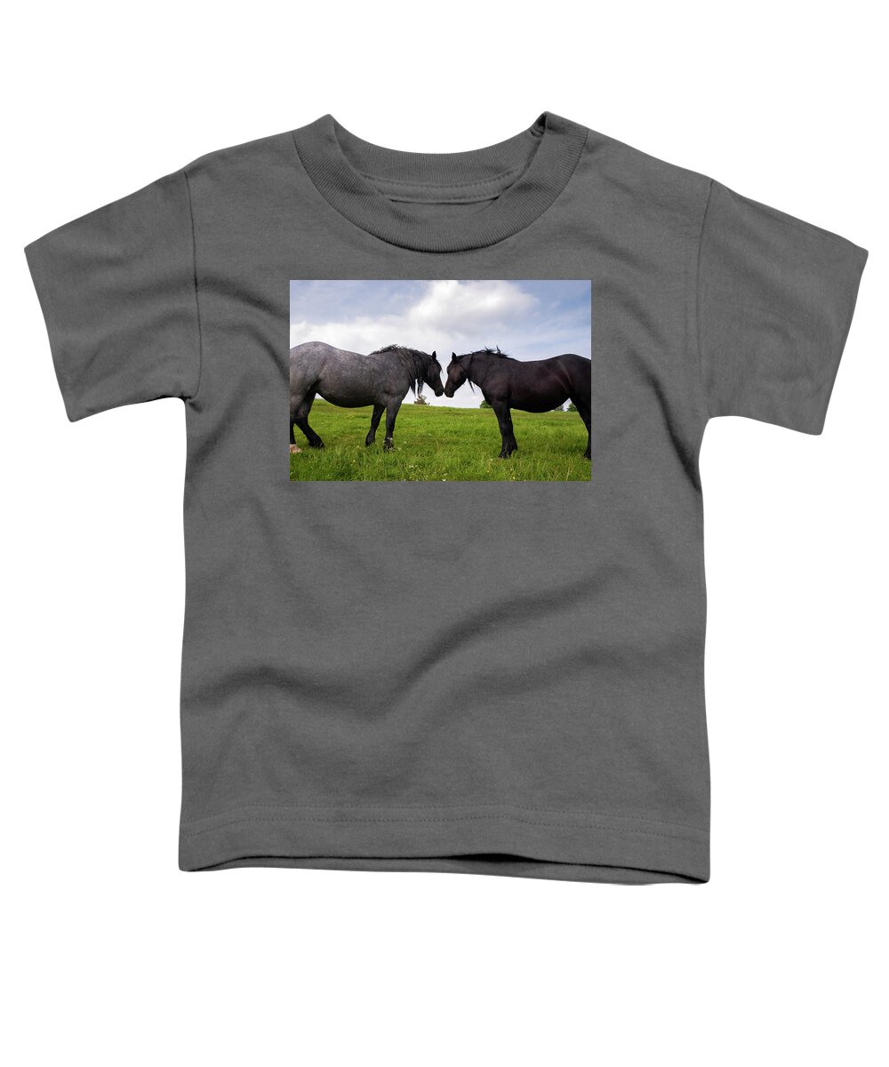 Horses Toddler T-Shirt featuring the photograph Horses nuzzling on slivnica mountain #1 by Ian Middleton
