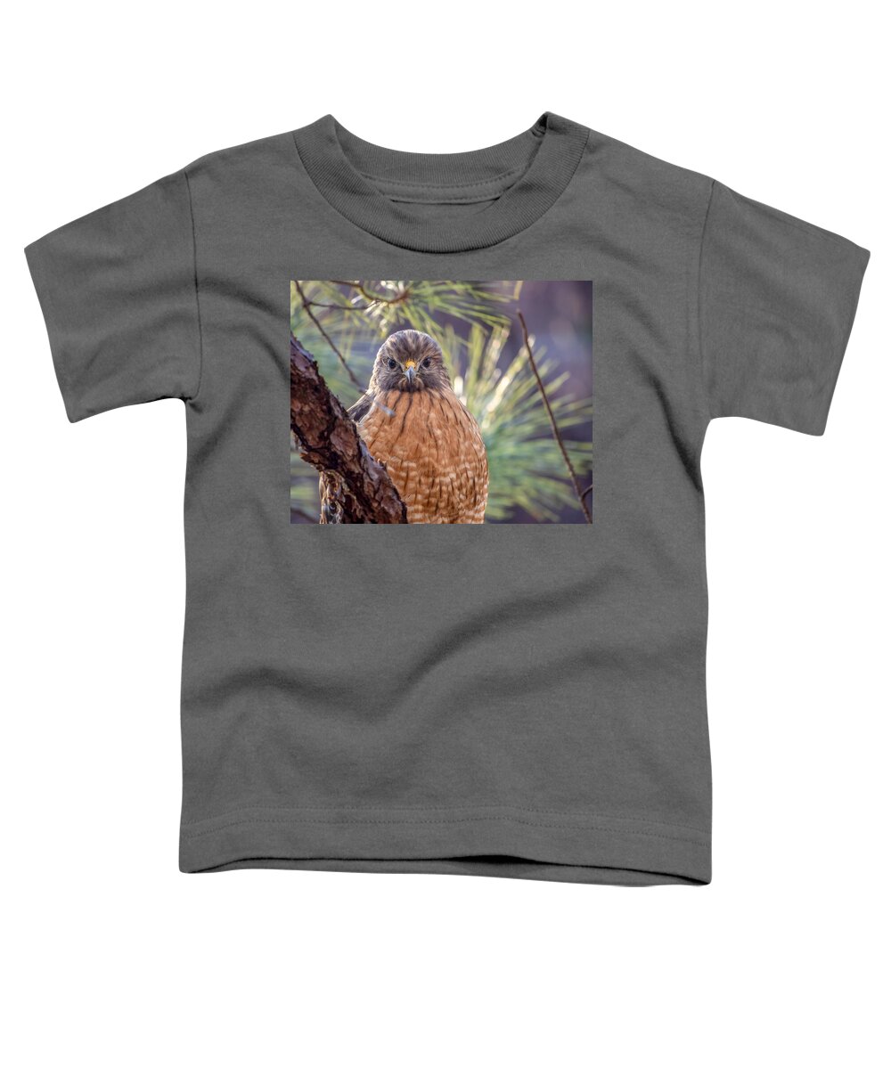 Bird Toddler T-Shirt featuring the photograph I See You #1 by Rick Nelson