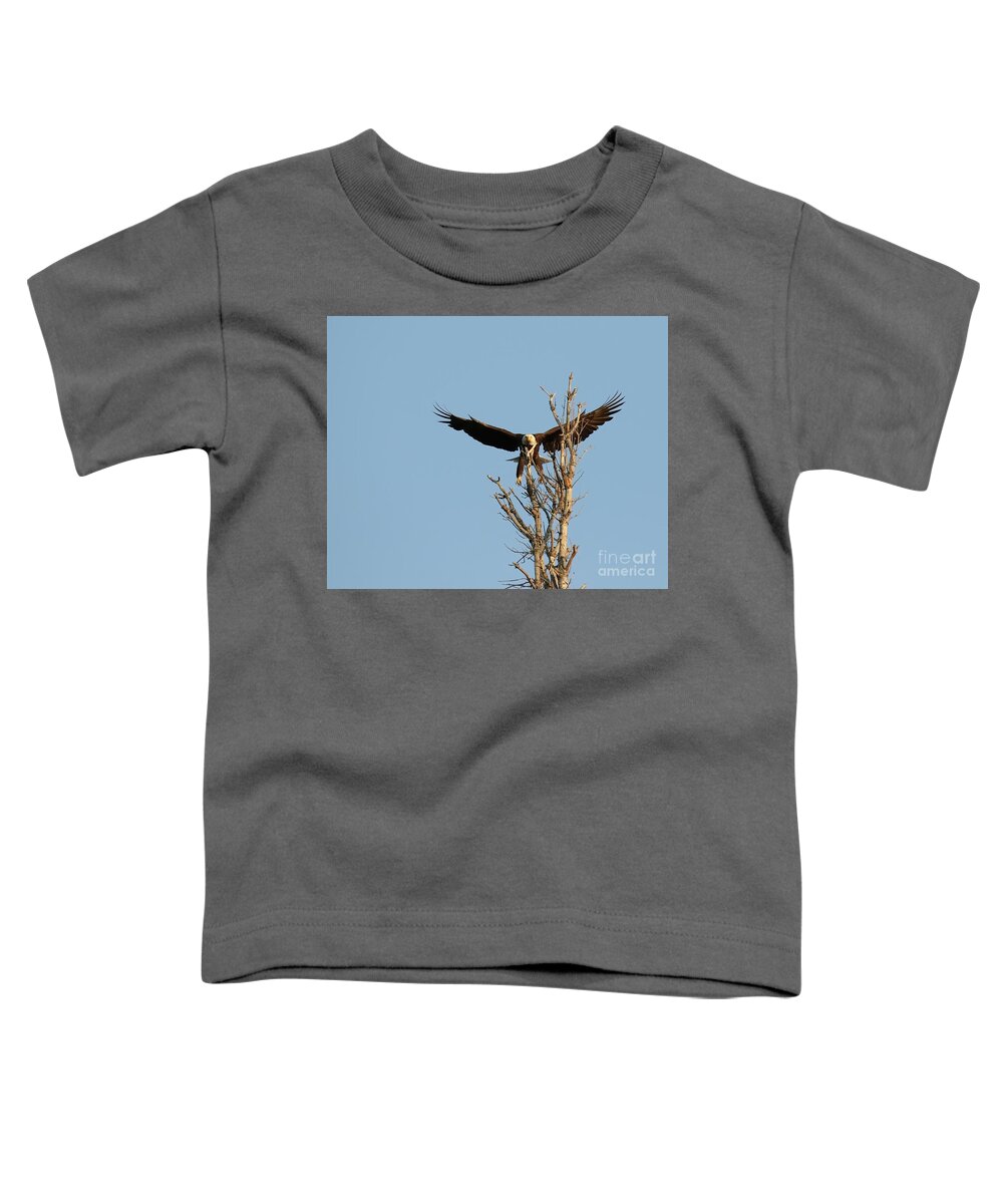 Bald Eagle Toddler T-Shirt featuring the photograph Incoming #1 by Heather King