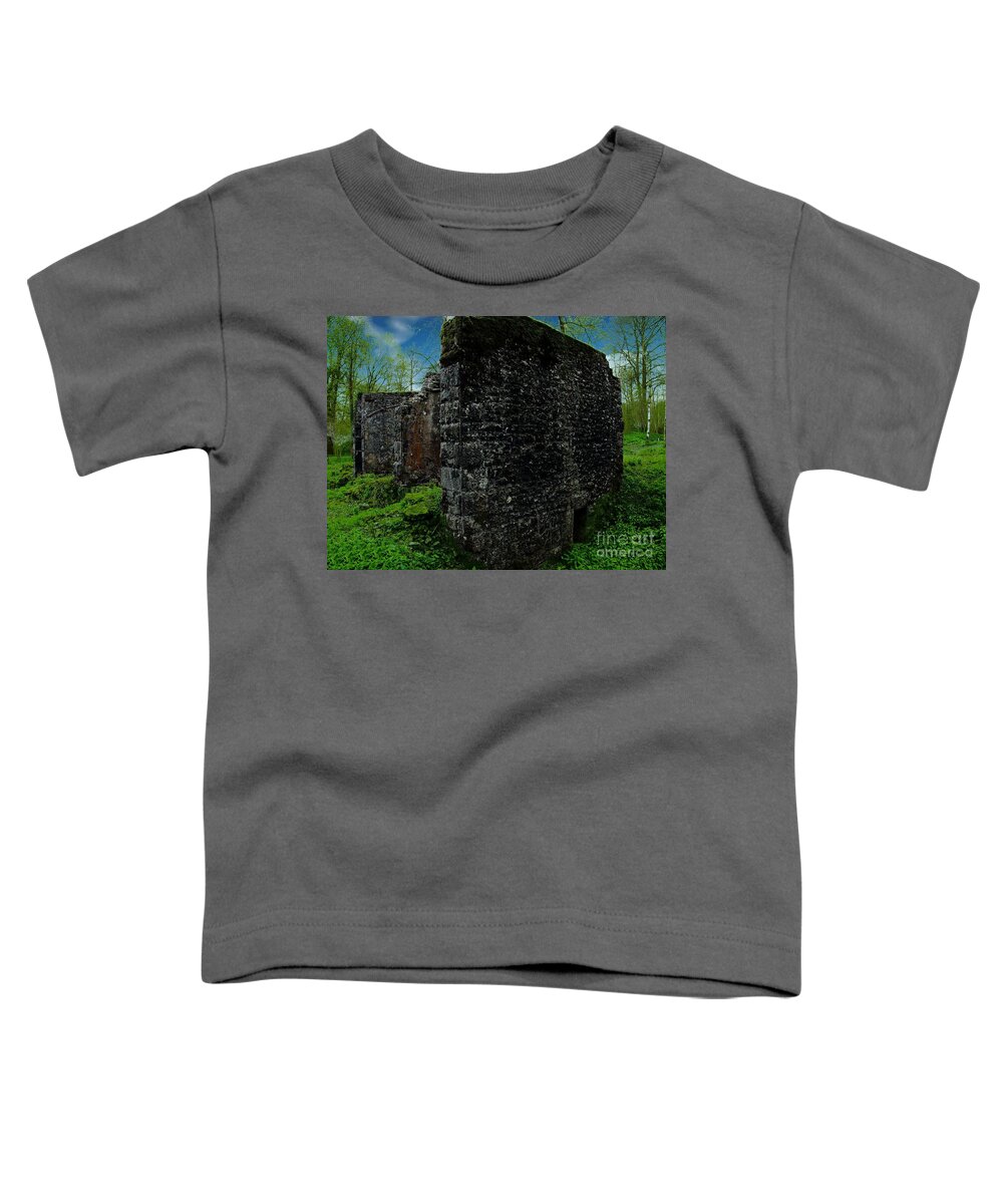 Buildings Toddler T-Shirt featuring the photograph Kendal Gunpowder Mill #2 by Richard Denyer