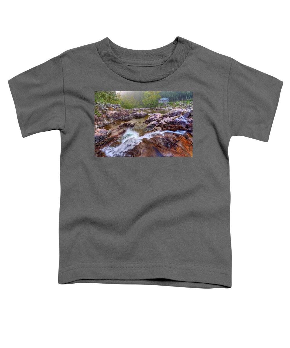 Ozark National Scenic Riverways Toddler T-Shirt featuring the photograph Klepzig Mill by Robert Charity