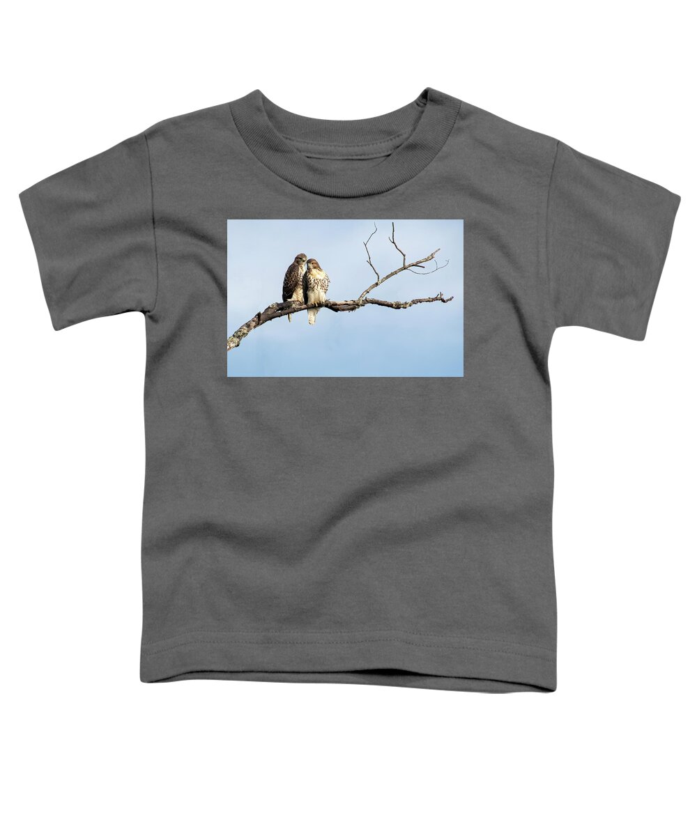 Hawks Toddler T-Shirt featuring the photograph Love is in the Air #1 by Mary Buck