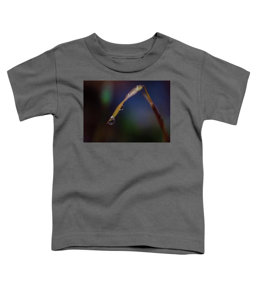 Fall Toddler T-Shirt featuring the photograph Macro Photography - Water Drops on Grass #1 by Amelia Pearn