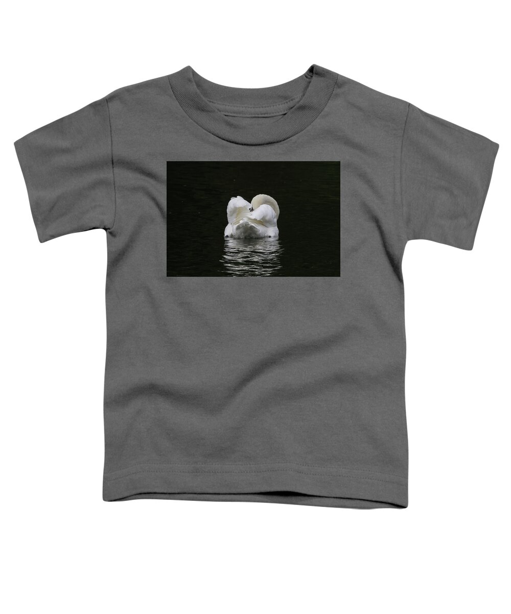 Flyladyphotographybywendycooper Toddler T-Shirt featuring the photograph Mute Swan #1 by Wendy Cooper