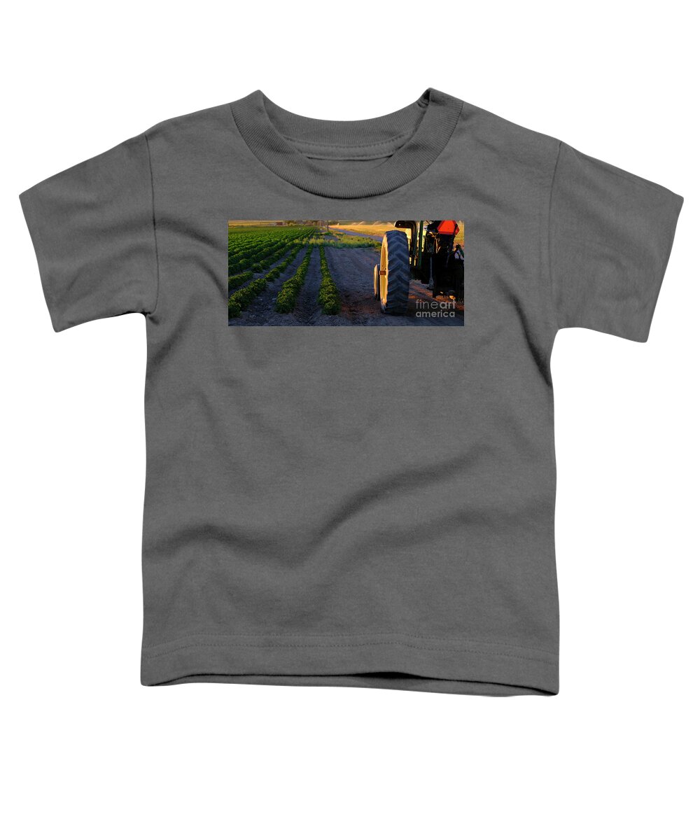 Wheel Toddler T-Shirt featuring the photograph Old Tractor in Farm Field with Growing Crops Sunlight #1 by Lane Erickson