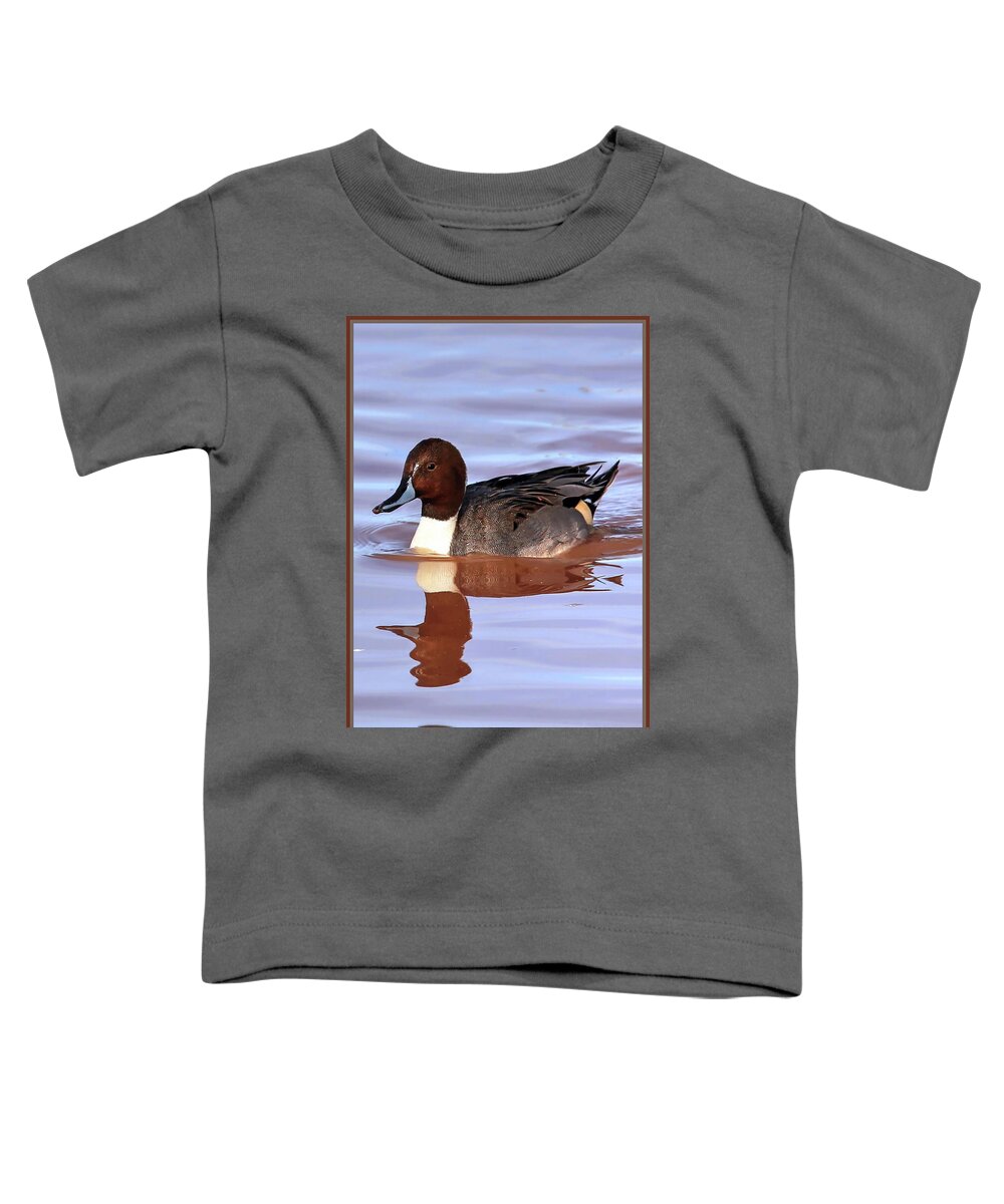 Northern Pintail Toddler T-Shirt featuring the photograph Pintail Reflections by Robert Harris