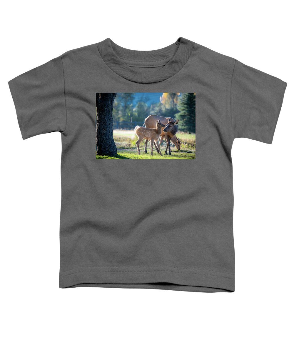 Precious Moments Toddler T-Shirt featuring the photograph Precious Moments #1 by Bitter Buffalo Photography