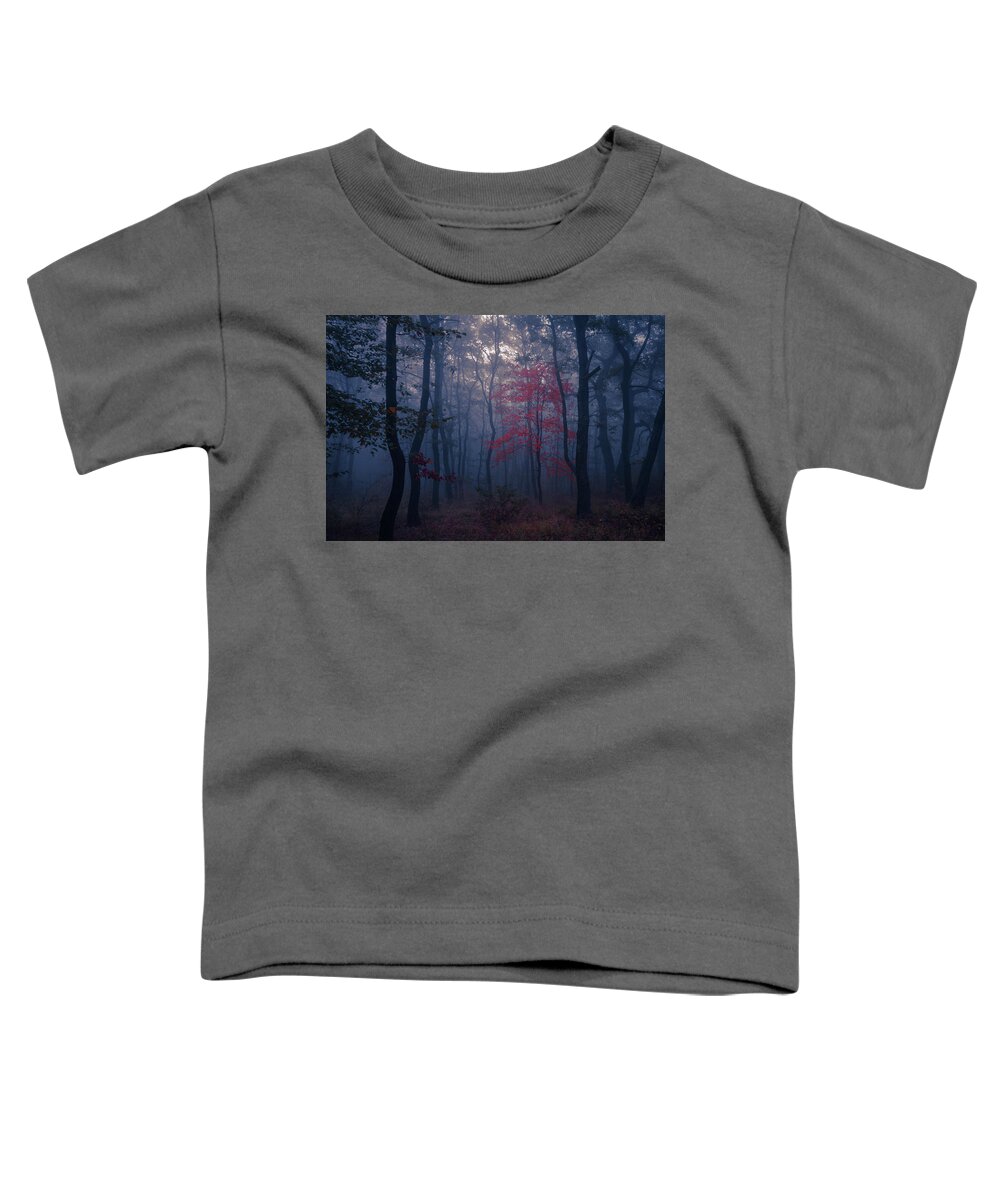 Balkan Mountains Toddler T-Shirt featuring the photograph Red Tree by Evgeni Dinev