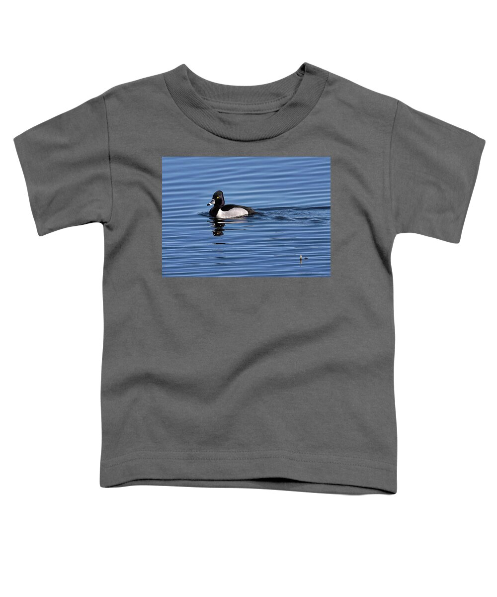 Duck Toddler T-Shirt featuring the photograph Ring-necked Duck Profile #1 by Flinn Hackett