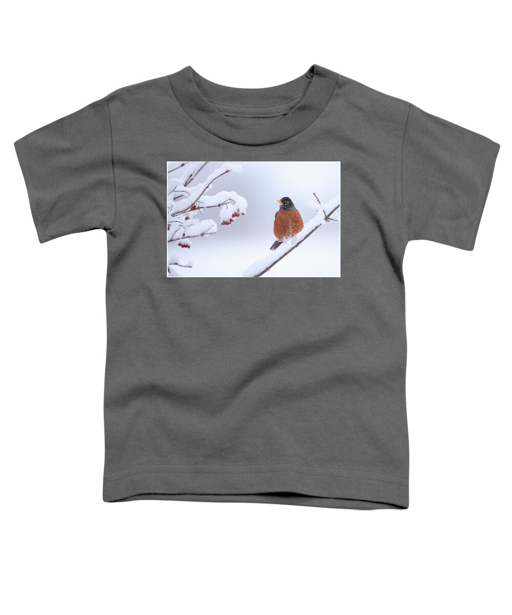 Robin Toddler T-Shirt featuring the photograph Robin #1 by Brook Burling