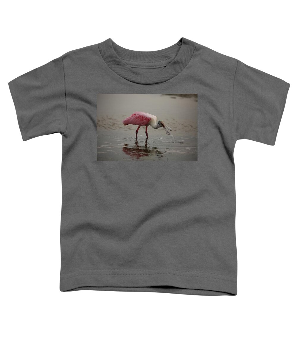 Roseate Spoonbill Toddler T-Shirt featuring the photograph Roseate Spoonbill #2 by Mingming Jiang