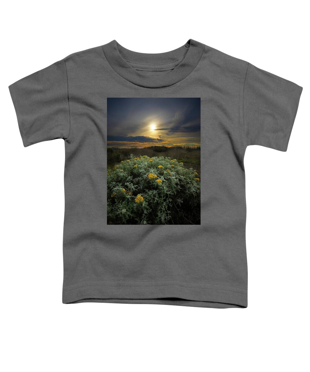  Toddler T-Shirt featuring the photograph San Simeon #1 by Lars Mikkelsen