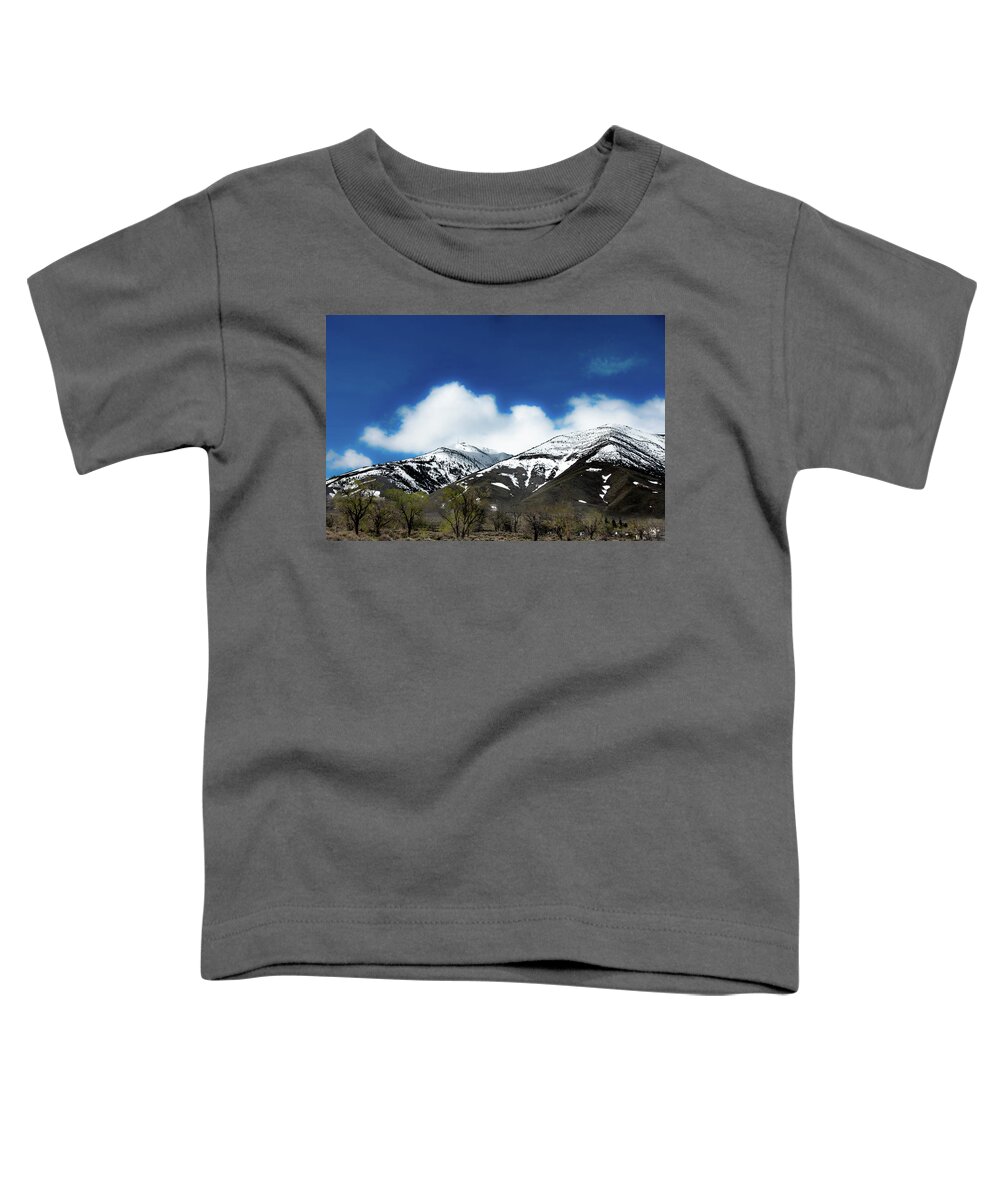 Wall Decor Toddler T-Shirt featuring the photograph Storm coming by Ron Roberts
