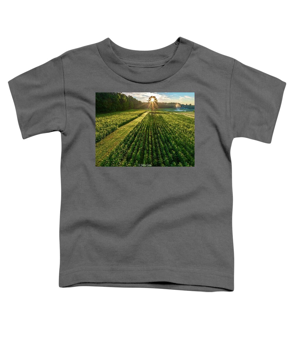  Toddler T-Shirt featuring the photograph Sunflower Sunrise #1 by John Gisis