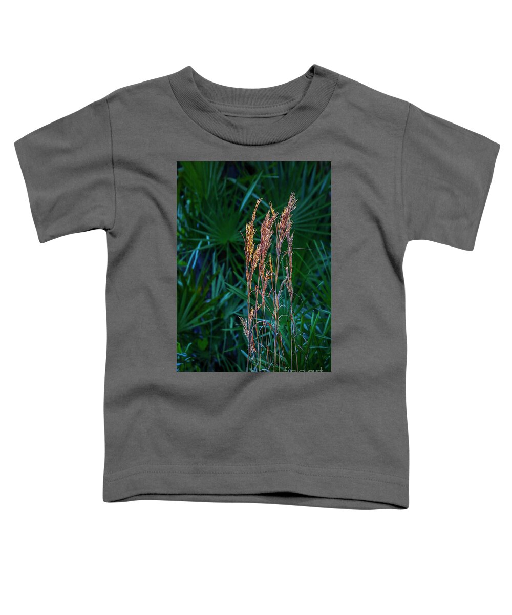 Grass Toddler T-Shirt featuring the photograph Tall Grass in Sunlight #1 by Tom Claud