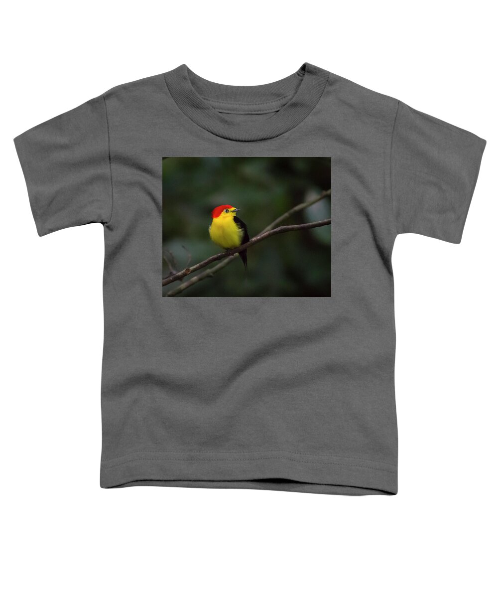 Manakin Toddler T-Shirt featuring the photograph The Dancer #1 by Alex Lapidus