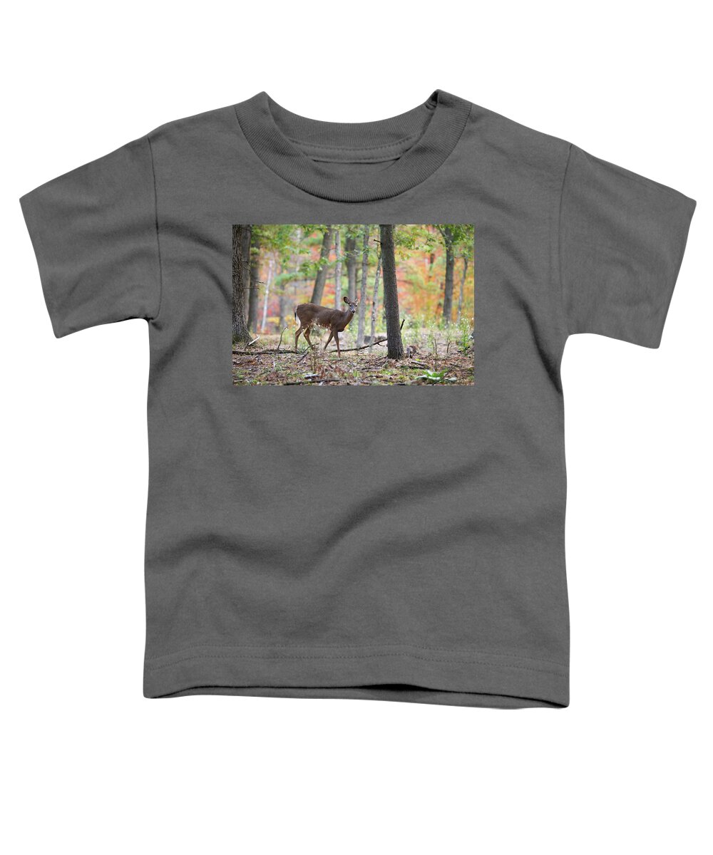 Whitetail Deer Toddler T-Shirt featuring the photograph Whitetail Doe #1 by Brook Burling
