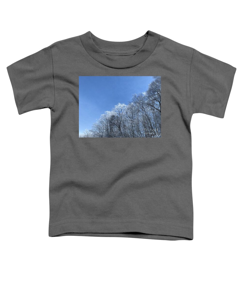  Toddler T-Shirt featuring the photograph Winter wonderland by Annamaria Frost