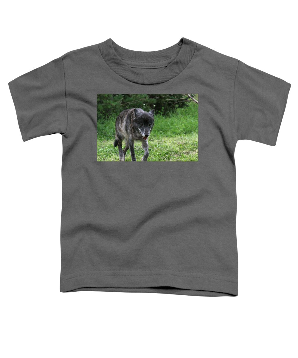 Wolf Toddler T-Shirt featuring the photograph Wolf by Demetrai Johnson