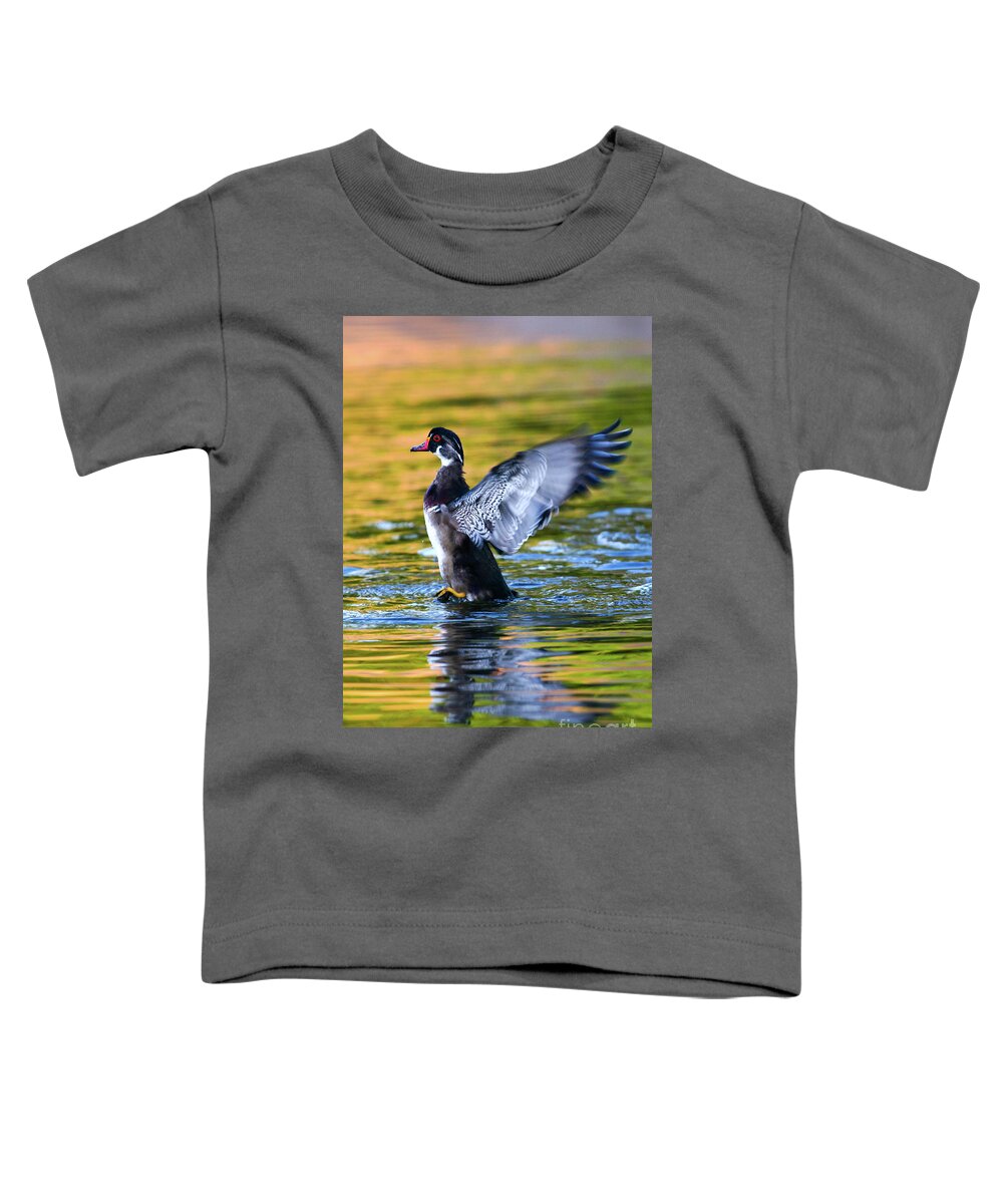 Wood Duck Toddler T-Shirt featuring the photograph Wood Duck Sunset #1 by John F Tsumas