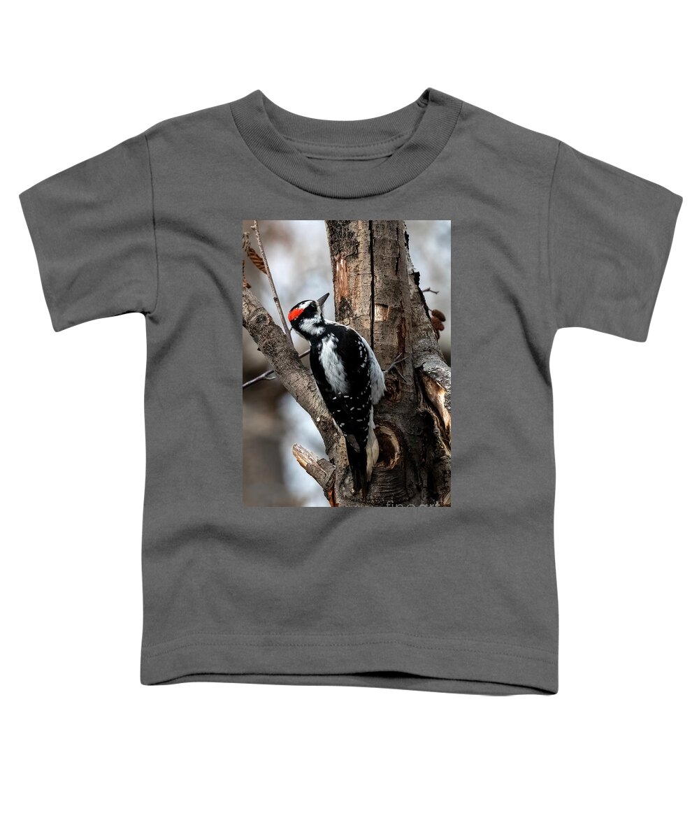 Hairy Woodpecker Toddler T-Shirt featuring the photograph Woodpecker at Work #1 by Michael Dawson