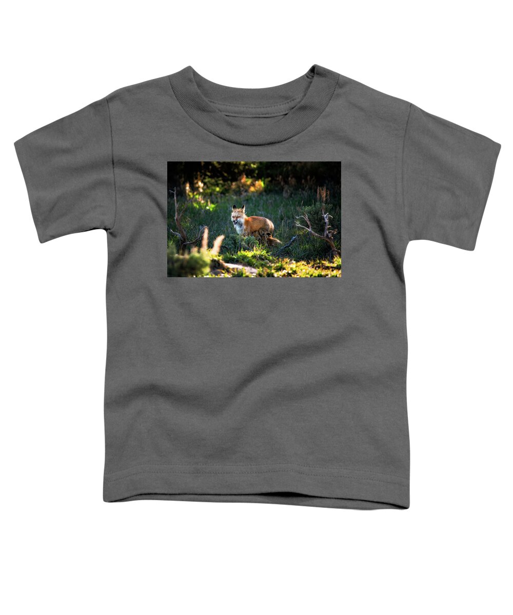  Toddler T-Shirt featuring the photograph ? #17 by Bitter Buffalo Photography