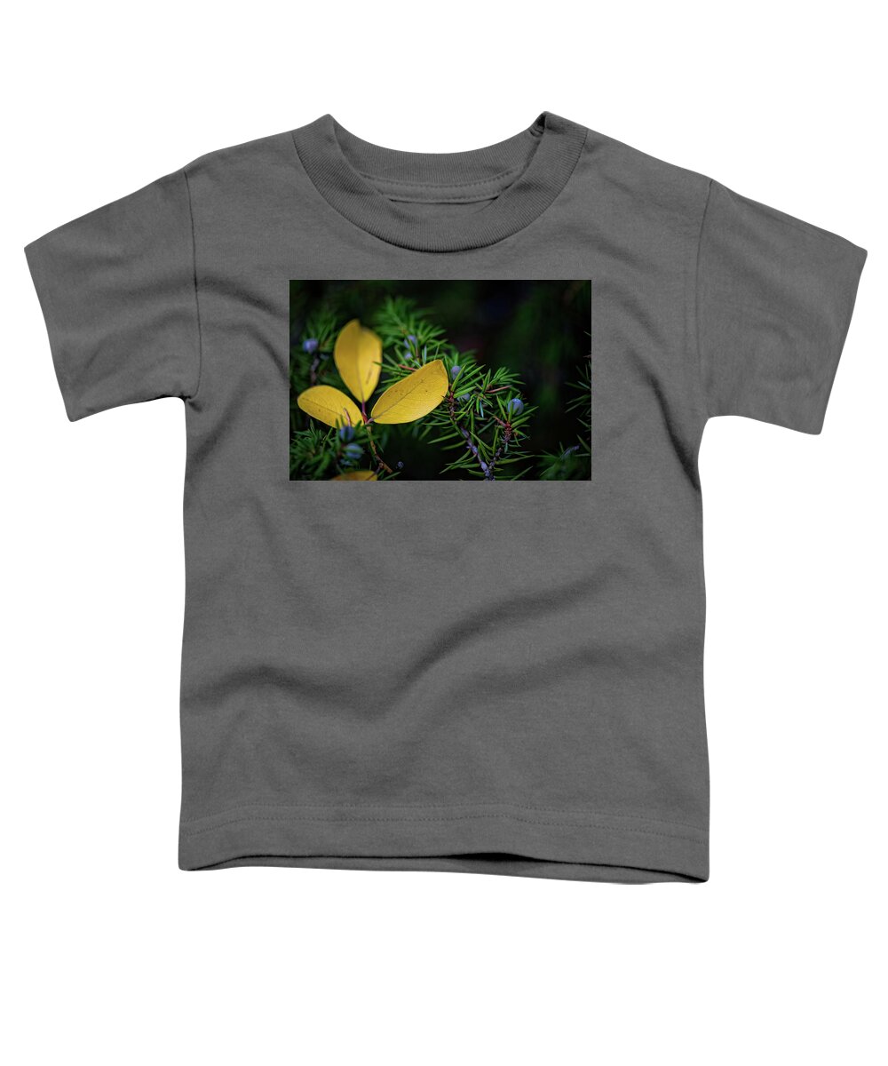 Co Toddler T-Shirt featuring the photograph Fall Colors by Doug Wittrock